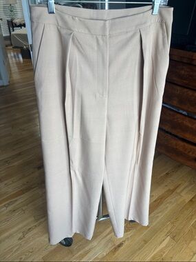 Misook dress pants.  Camel color